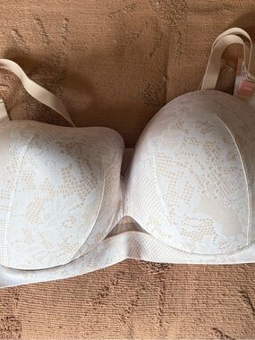 Cacique Lace-Overlay Strapless Convertible Bra in Light Cream